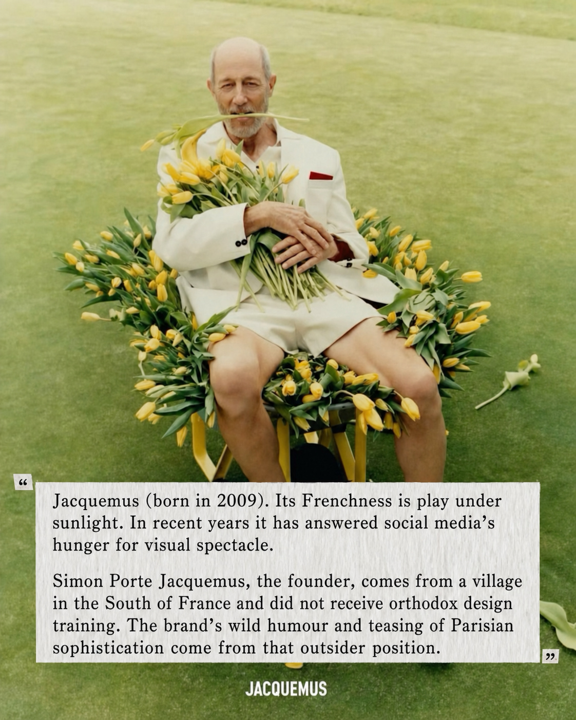 Jacquemus style note with yellow flowers and sunlit French spectacle