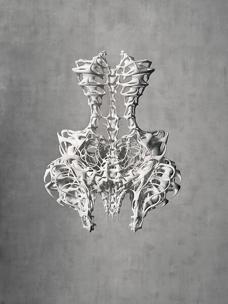 Iris van Herpen Skeleton 3D-printed nylon dress with a rigid skeletal structure