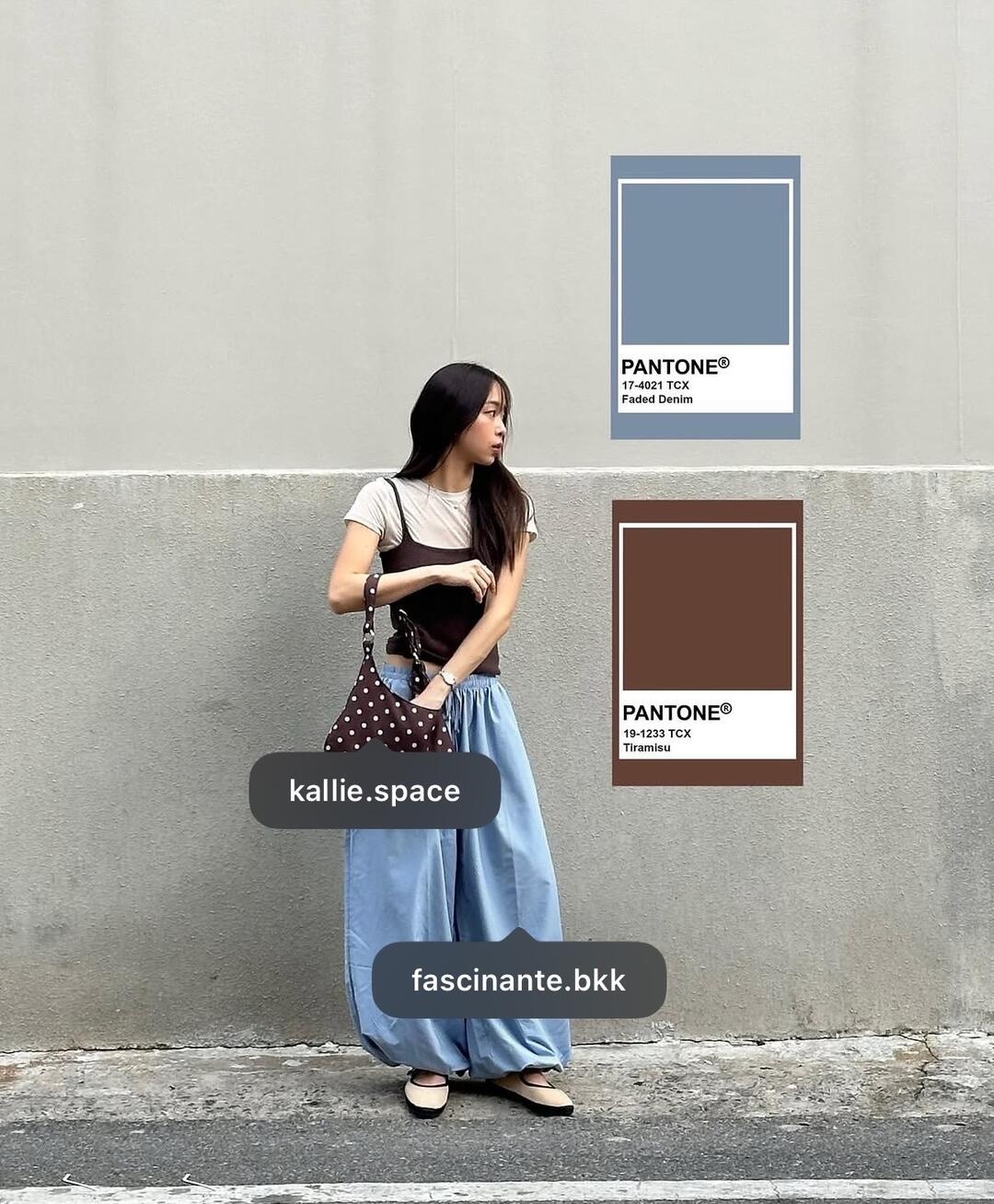 pmpengg wide leg pants outfit idea 012